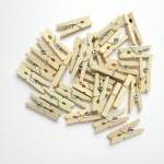 25 Mini Clothespins, Miniature Clothespins, Mini..